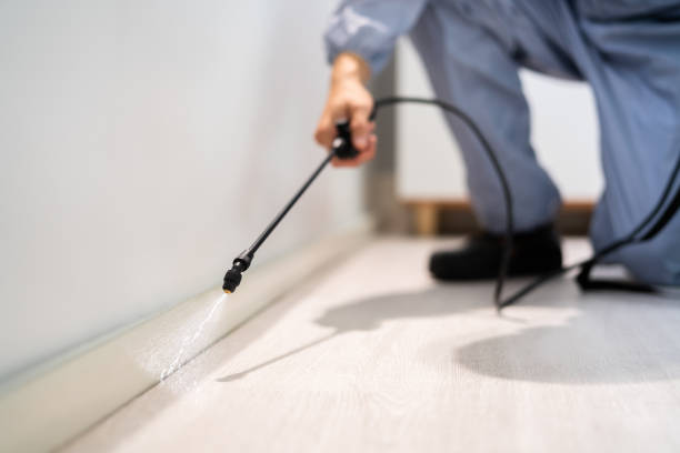 Rodent Entry Point Assessment in Sandia Heights