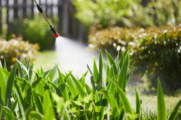 Tamper-Resistant Bait Stations for Rodents in Sandia Heights