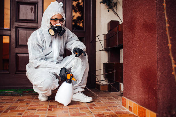 Attic and Crawl Space Rodent Treatment in Sandia Heights